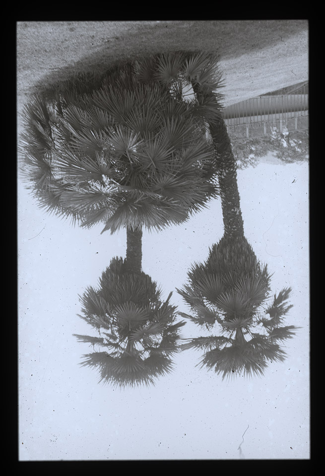 Gunter Christmann, SYDNEY - 38/80, 1974