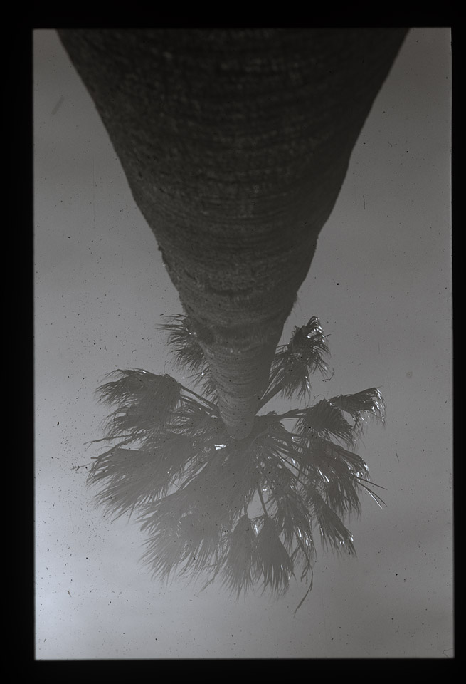 Gunter Christmann, SYDNEY - 62/80, 1974