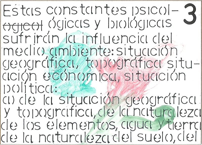 Narelle Jubelin, Transcription works, 2004