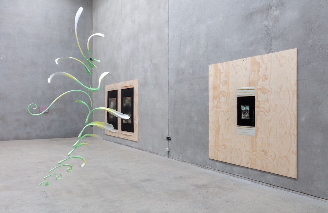 installation view: Alpha Tauri, at The Commercial, Sydney, 2025