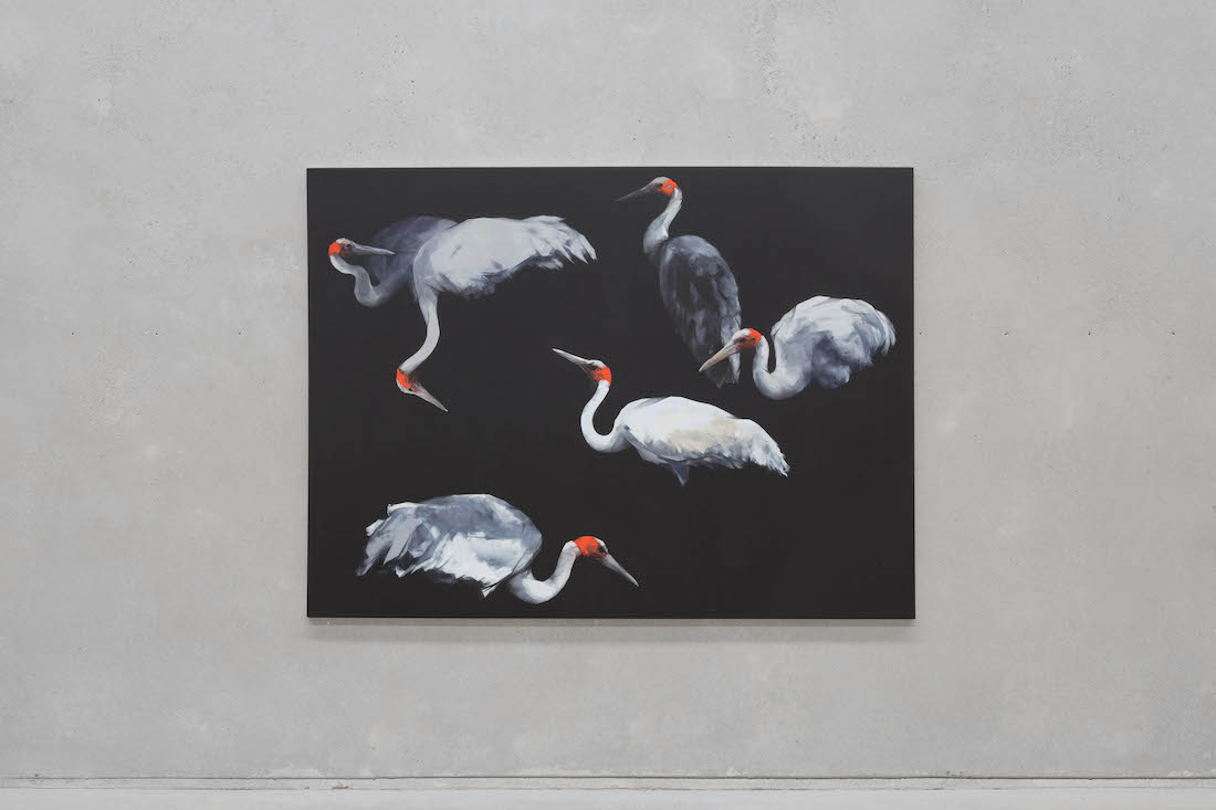 Nigel Milsom: Judo-House part 10 (plain crazy)