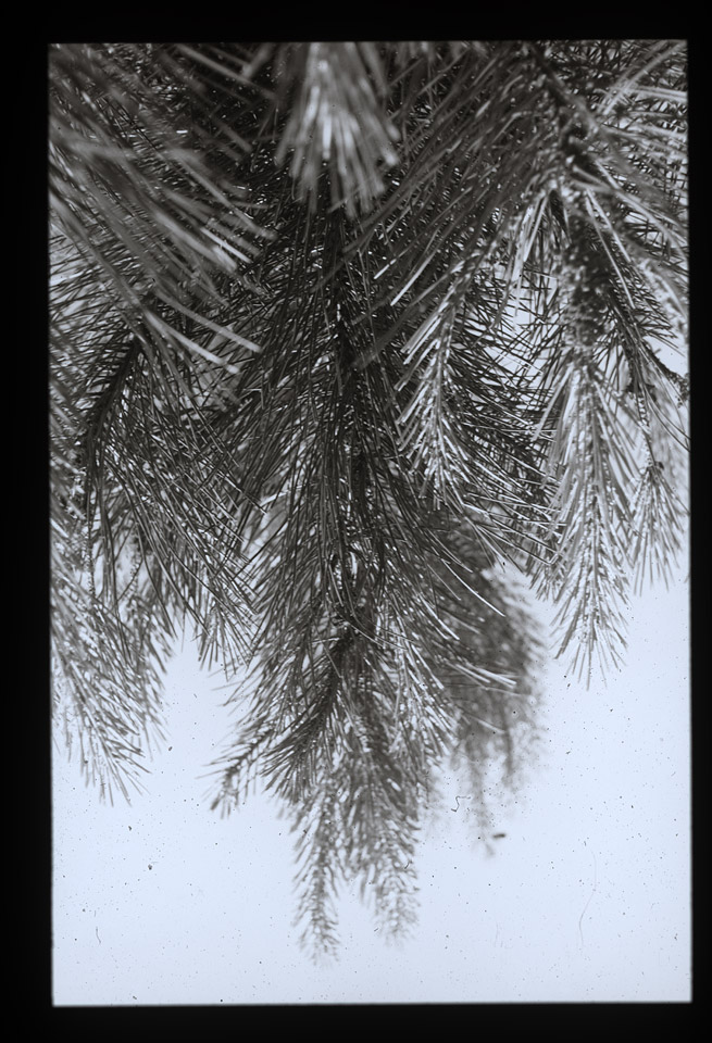 Gunter Christmann, SYDNEY - 34/80, 1974