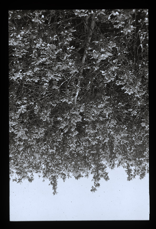 Gunter Christmann, SYDNEY - 74/80, 1974