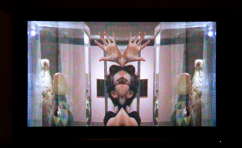 Archie Moore, Doppelgänger, 2009