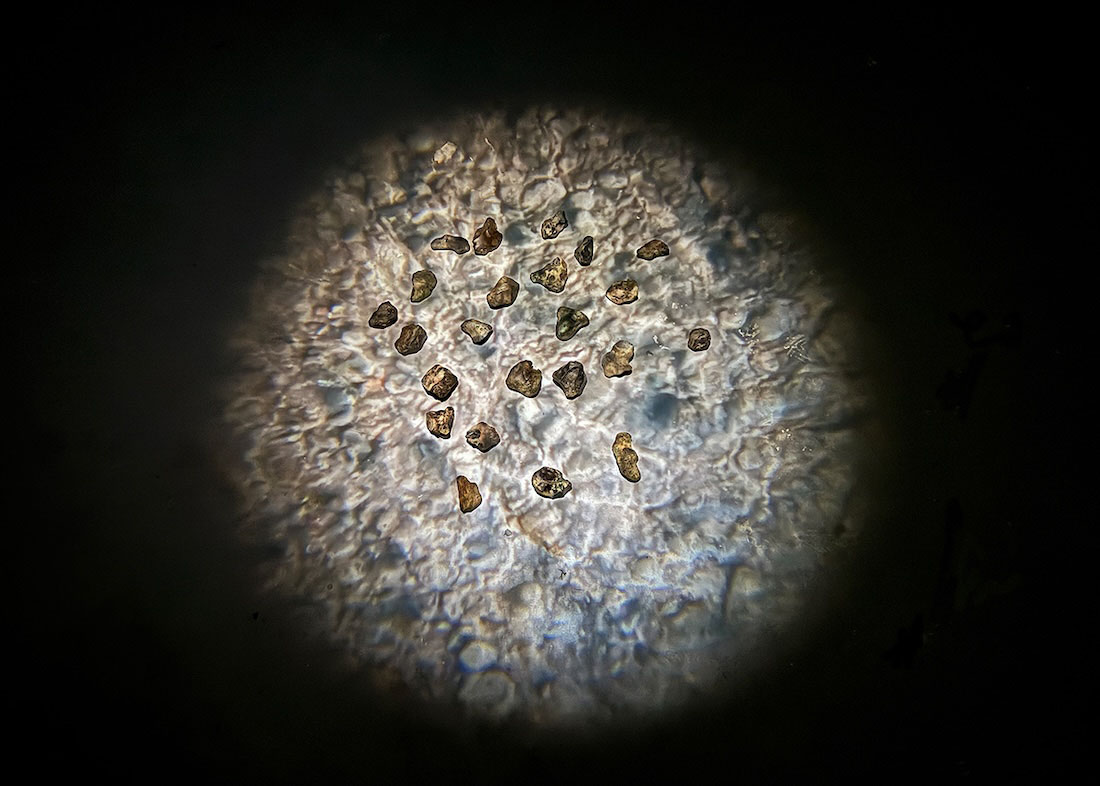 Yasmin Smith, Flint, 2025