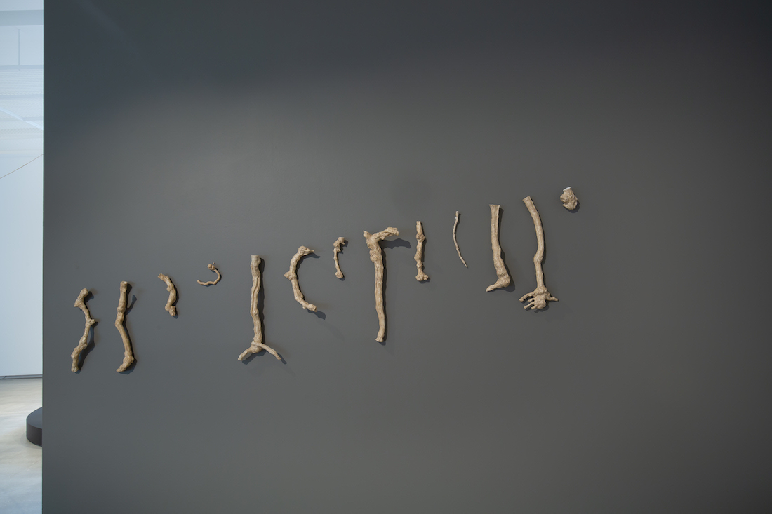 installation view: Yasmin Smith, Terroir, 2020, in TarraWarra Biennale 2021: Slow Moving Waters, TarraWarra Museum of Art, Tarrawarra