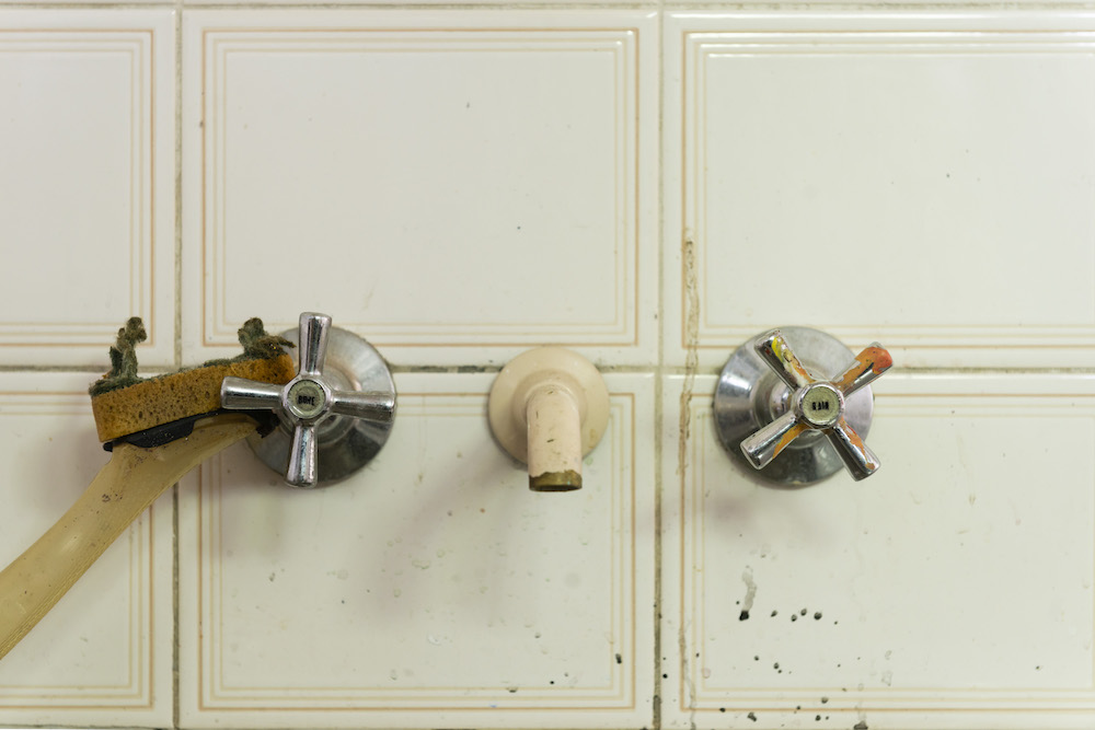 installation view: Archie Moore, HouseShow, 2020, mixed media installation, The Cottage, 272 Montague Road, West End, Brisbane