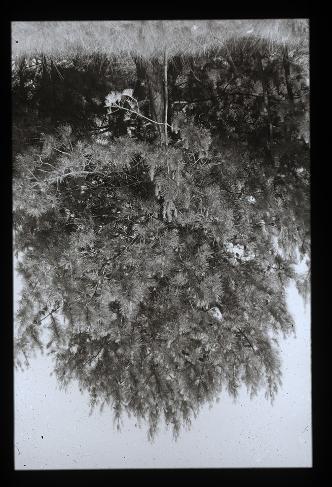 Gunter Christmann, SYDNEY - 24/80, 1974