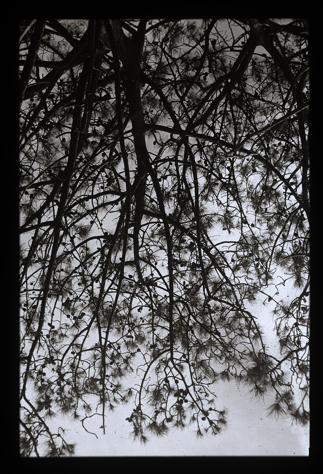 Gunter Christmann, SYDNEY - 72/80, 1974