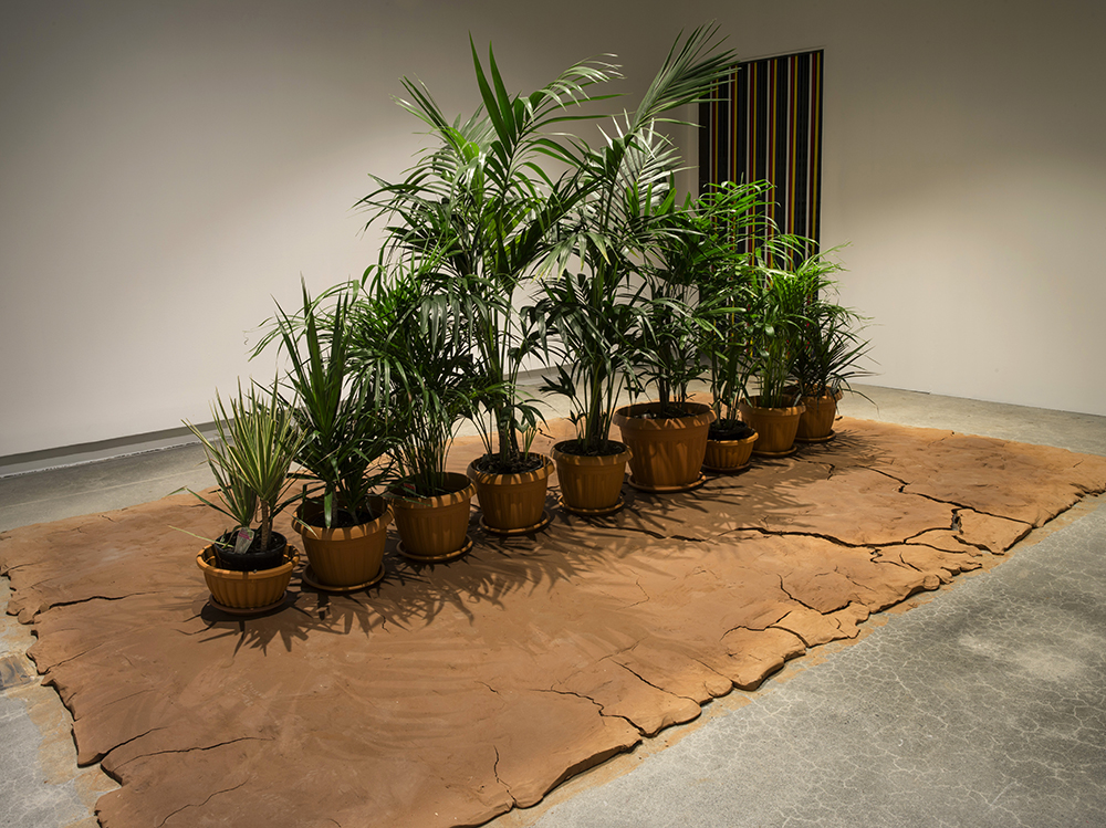 Archie Moore, Camera Lucida (Light Room), 2018