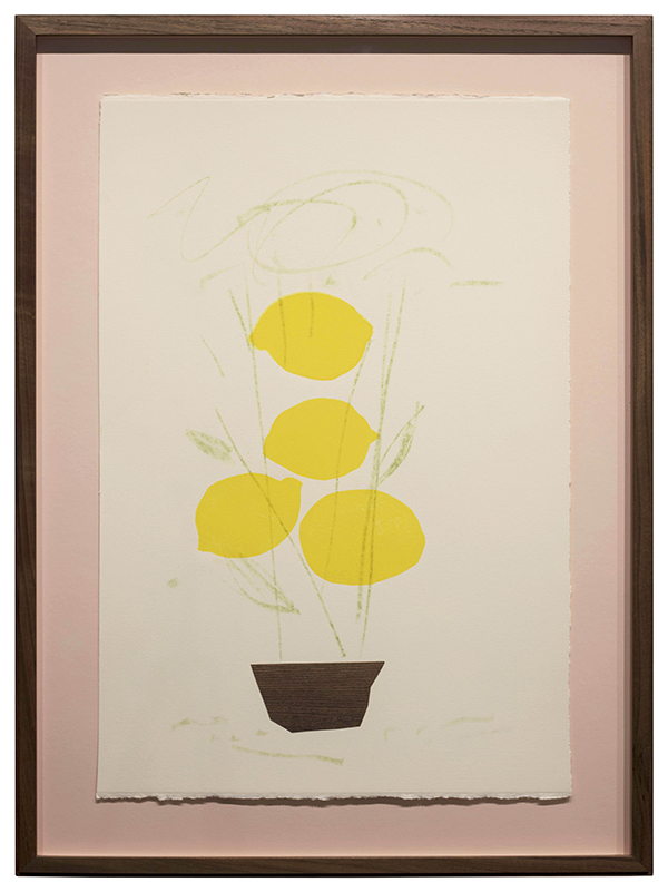 Mitch Cairns, TASTE 3, 2019