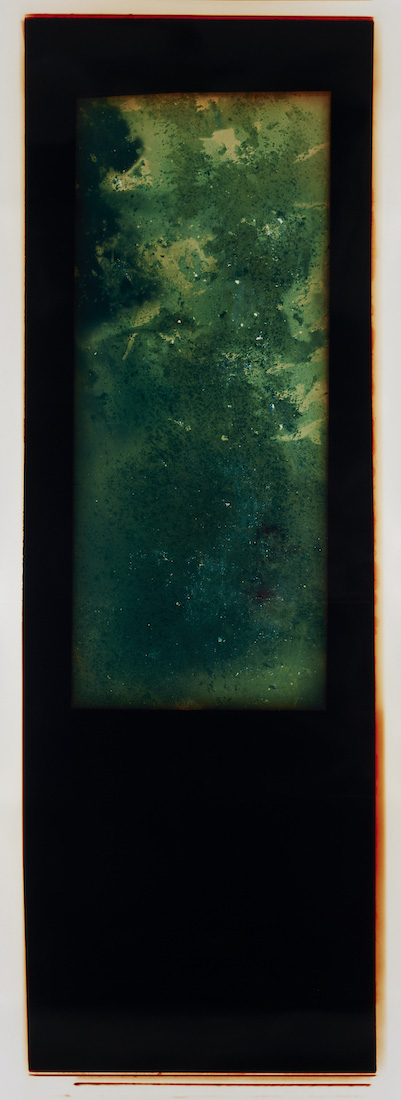 Amanda Williams, Chemigram experimental eucalypt plantation (version 2) 4, 2023