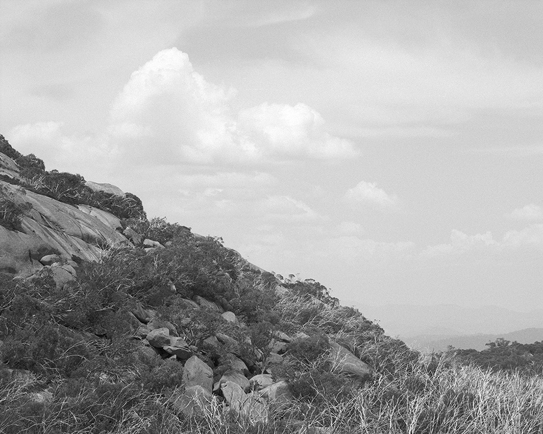 Amanda Williams, The Alpine Moth 1, 2021