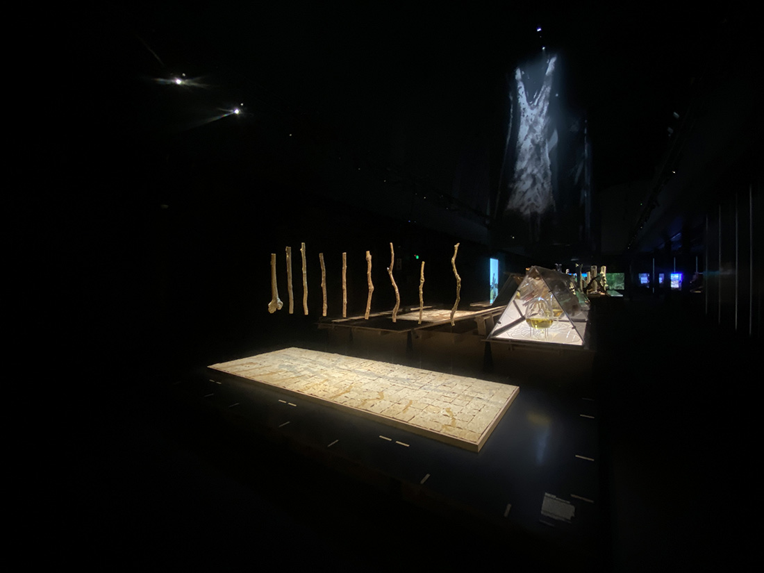 installation view: Yasmin Smith, Stars (Castle Hill Plantation 2021), 2021 - phase 2, in Eucalyptusdom, Powerhouse Museum, Sydney, 2021-2022 | | commissioned by Powerhouse Museum