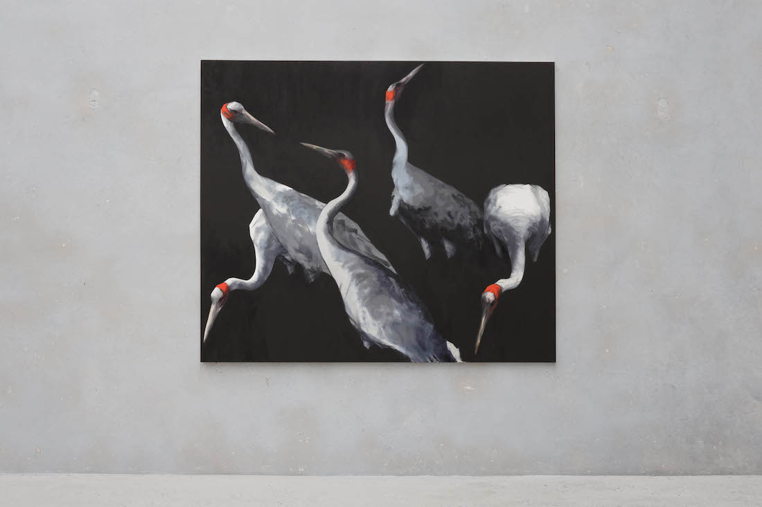 Nigel Milsom, Judo-House part 10 (plain crazy), cat. 3 — installation view