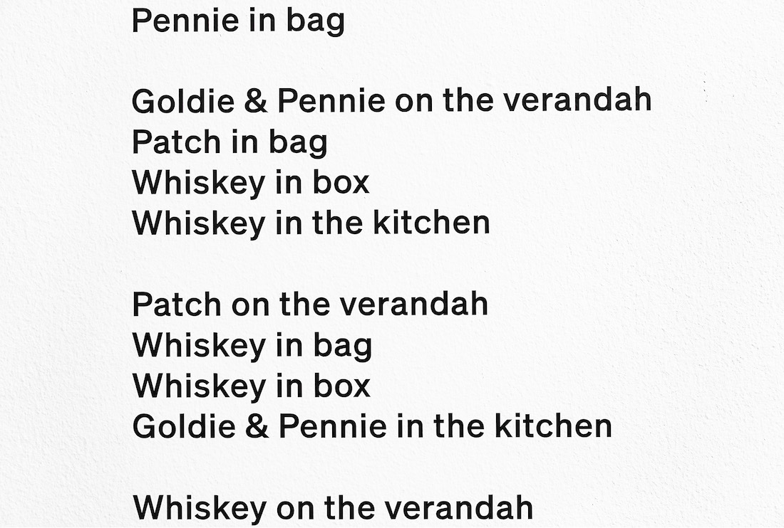 installation view: Adelaide Biennial of Australian Art: Free/State, Art Gallery of South Australia, Adelaide, 2022, showing detail of  Mitch Cairns, Polaroid Sketch, 2021-2022