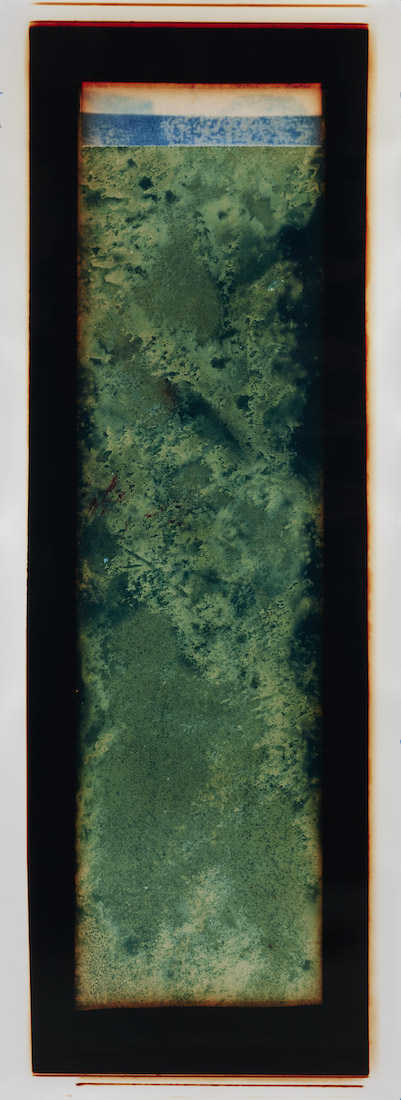 Amanda Williams, Chemigram experimental eucalypt plantation (version 2) 1, 2023