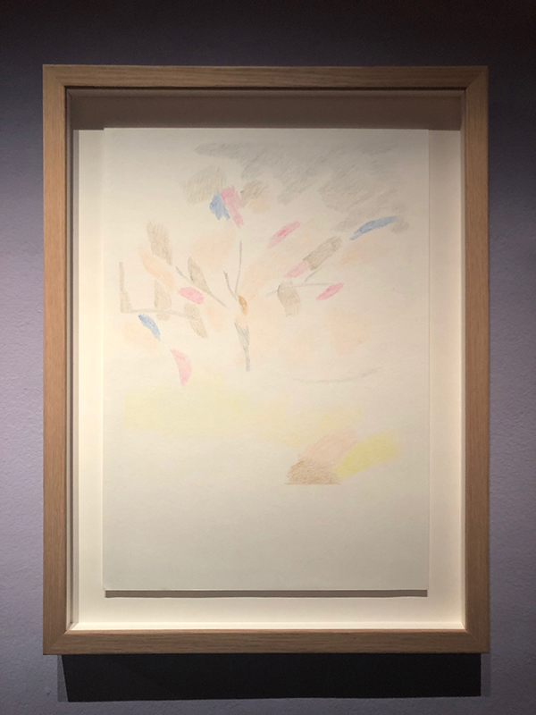 Agatha Gothe-Snape, Hakea Ghost Drawing, 2018