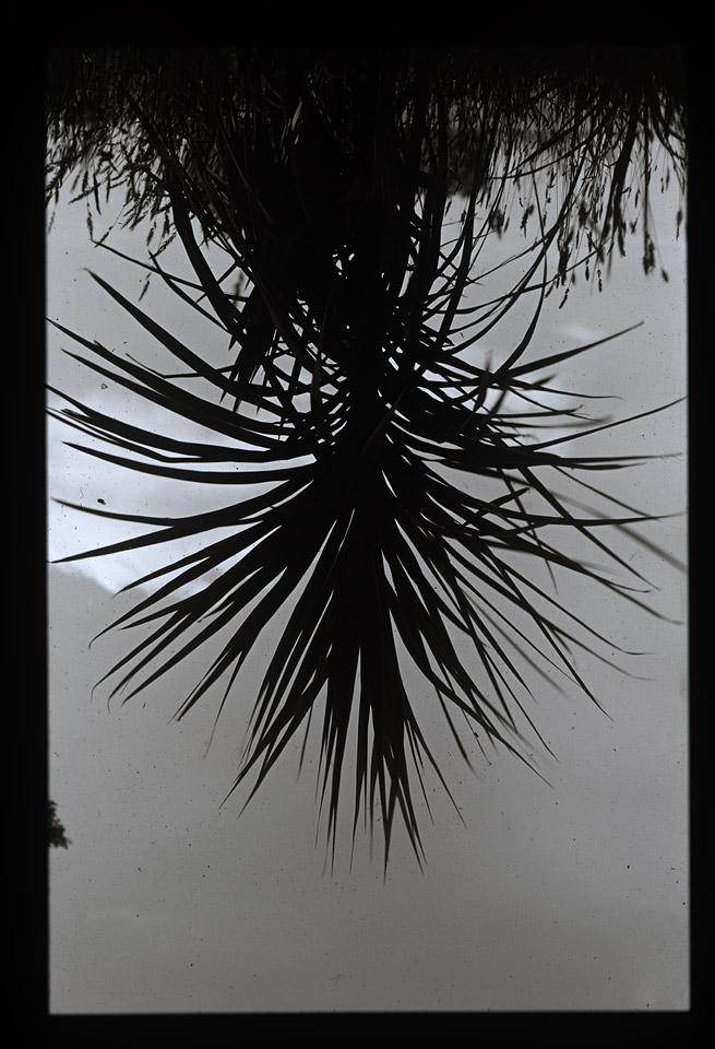 Gunter Christmann, SYDNEY - 6/80, 1974