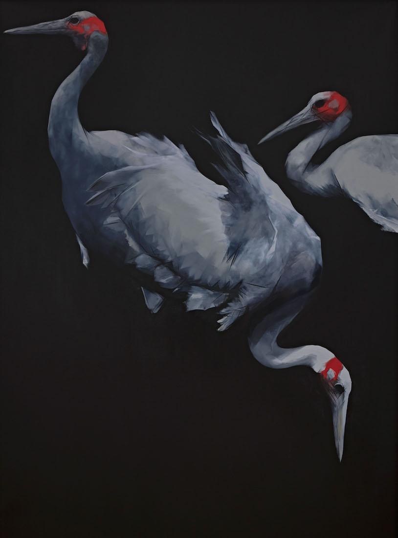 Nigel Milsom, Judo-House part 10 (plain crazy), 2023