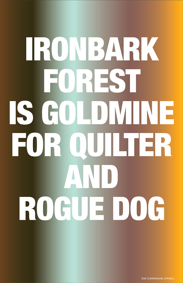 Agatha Gothe-Snape, Headliners with Sue Cunningham, 2011