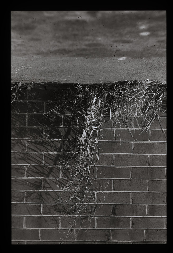 Gunter Christmann, SYDNEY - 66/80, 1974