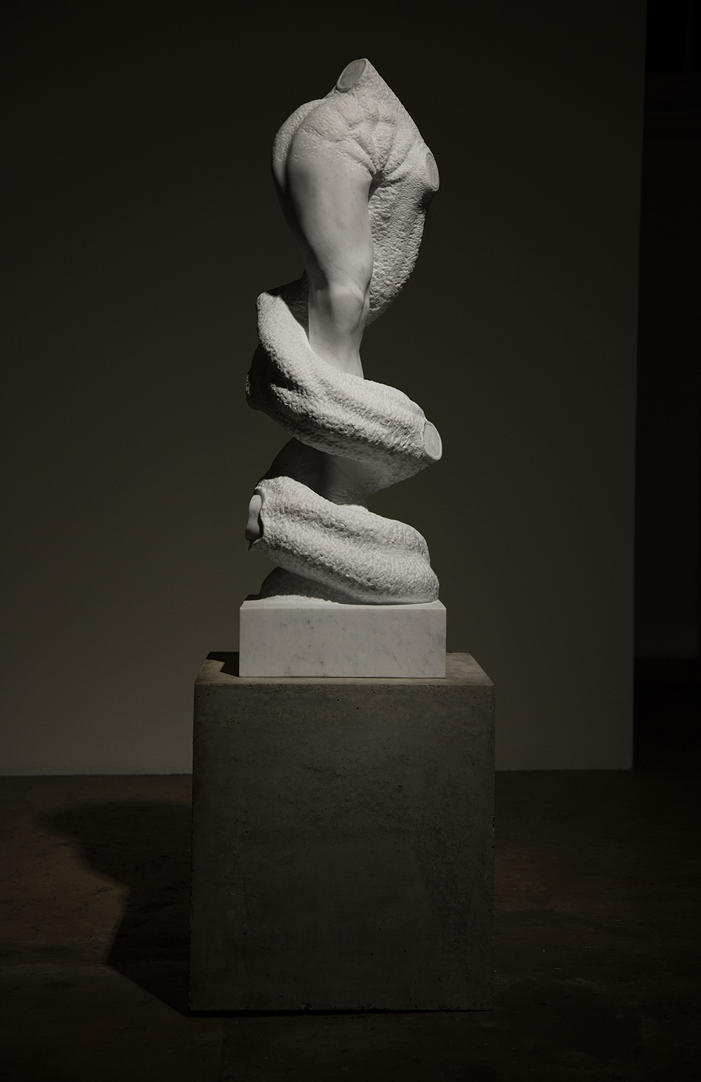 Stephen Ralph: Stardust