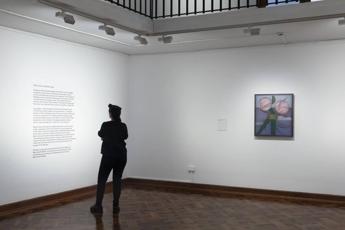 installation view Mitch Cairns: Restless Legs, Wollongong Art Gallery, 2025
