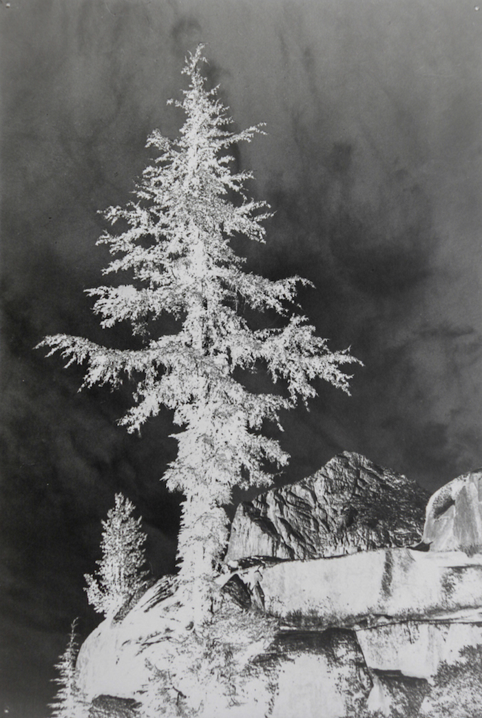 Amanda Williams, Ansel Adams, An Unnamed peak, Kings River Canyon (Proposed as a national park), California, 1936/2019 , 2019