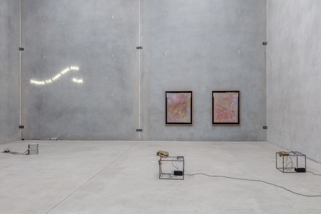 installation view: Free-to-air, at The Commercial, Sydney, 2024