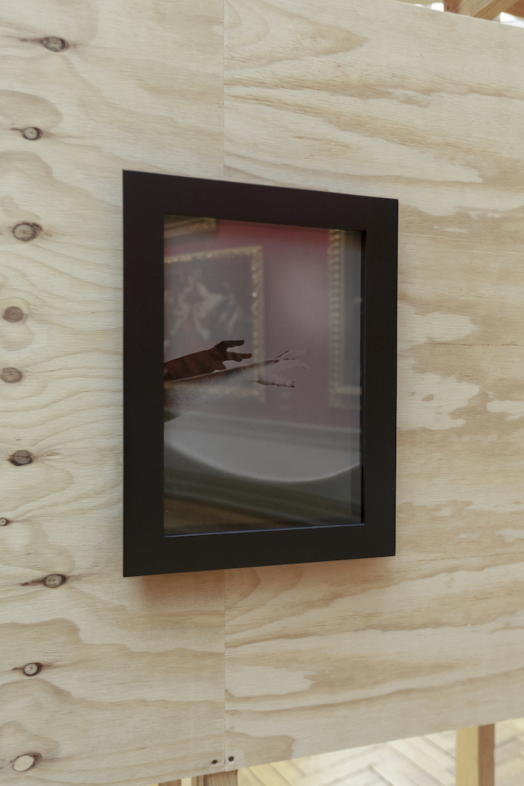 installation view: Amanda Williams, Or your shadow, rising to meet you, 2020, in Archie Plus, Art Gallery of New South Wales, Sydney