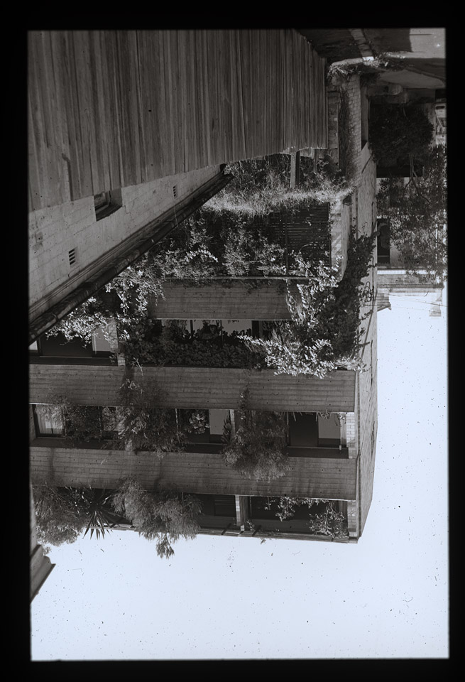 Gunter Christmann, SYDNEY - 31/80, 1974