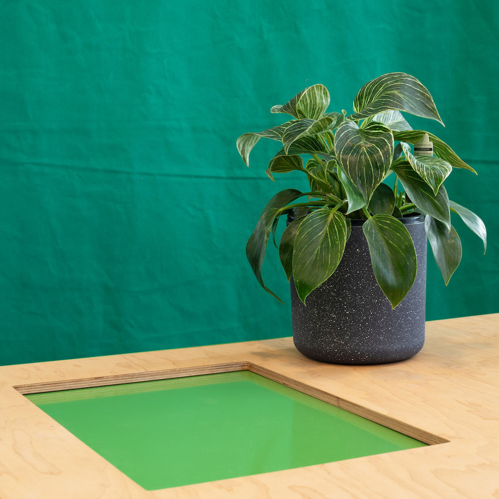 installation view: Agatha Gothe-Snape — IT IS THE COLOUR OF AN IDEA THAT WILL NOT COMPLETE ITSELF IN OUR LIFETIME, Perth Institute of Contemporary Arts, Perth, 2024