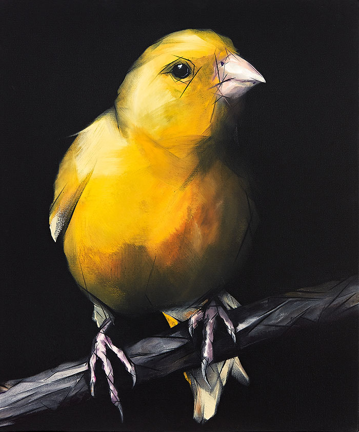 Nigel Milsom, Judo-House part 9 (birdland), 2020