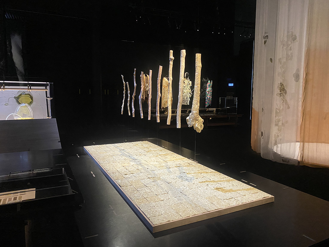 installation view: Yasmin Smith, Stars (Castle Hill Plantation 2021), 2021 - phase 2, in Eucalyptusdom, Powerhouse Museum, Sydney, 2021-2022 | | commissioned by Powerhouse Museum