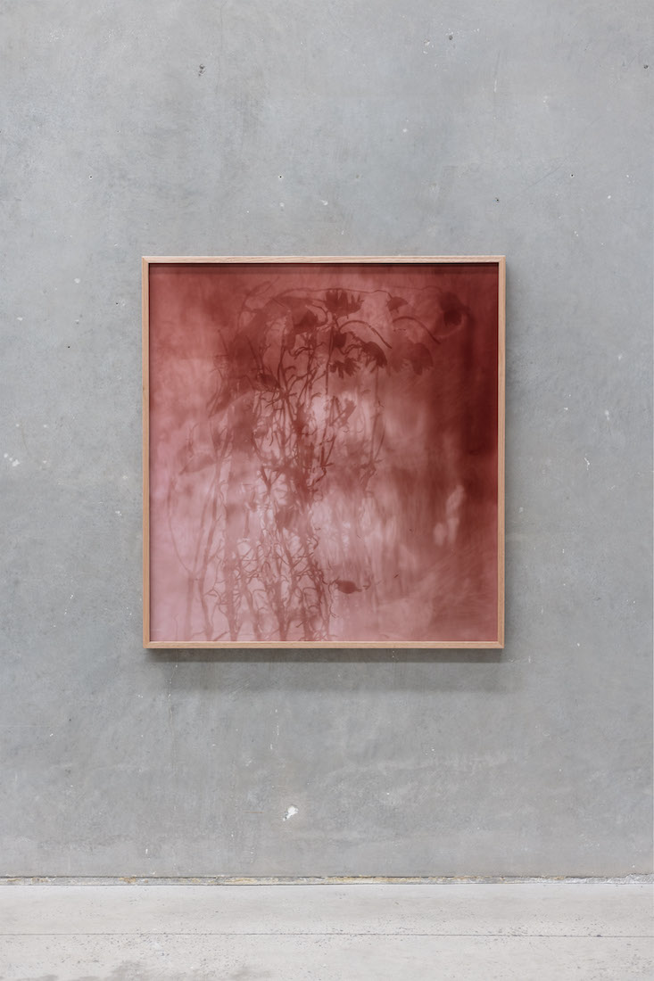 installation view: Amanda Williams — On the Action of the Rays of the Solar Spectrum, at The Commercial, Sydney, 2023