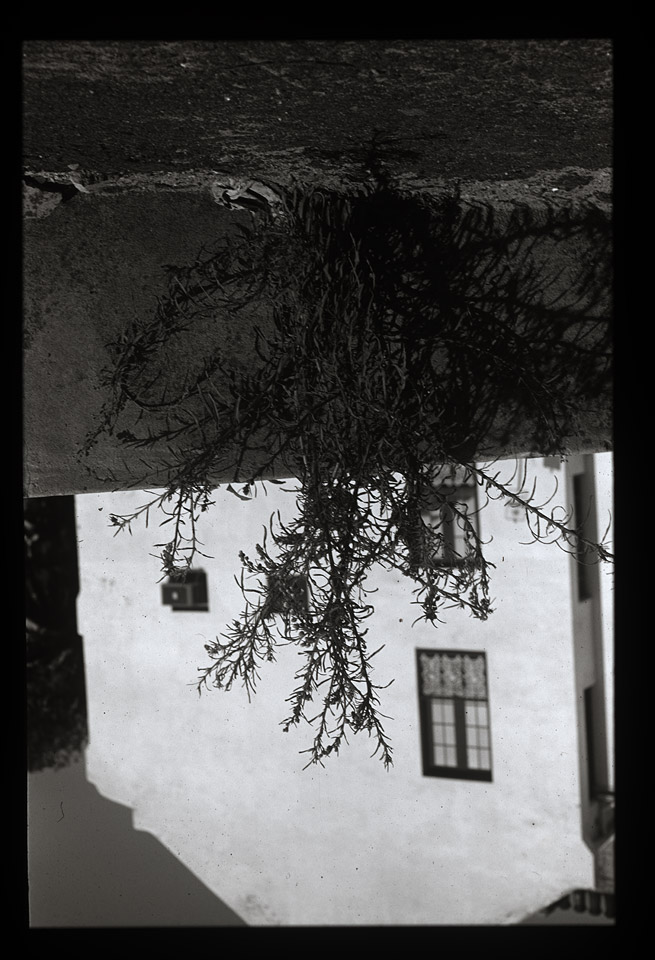 Gunter Christmann, SYDNEY - 10/80, 1974