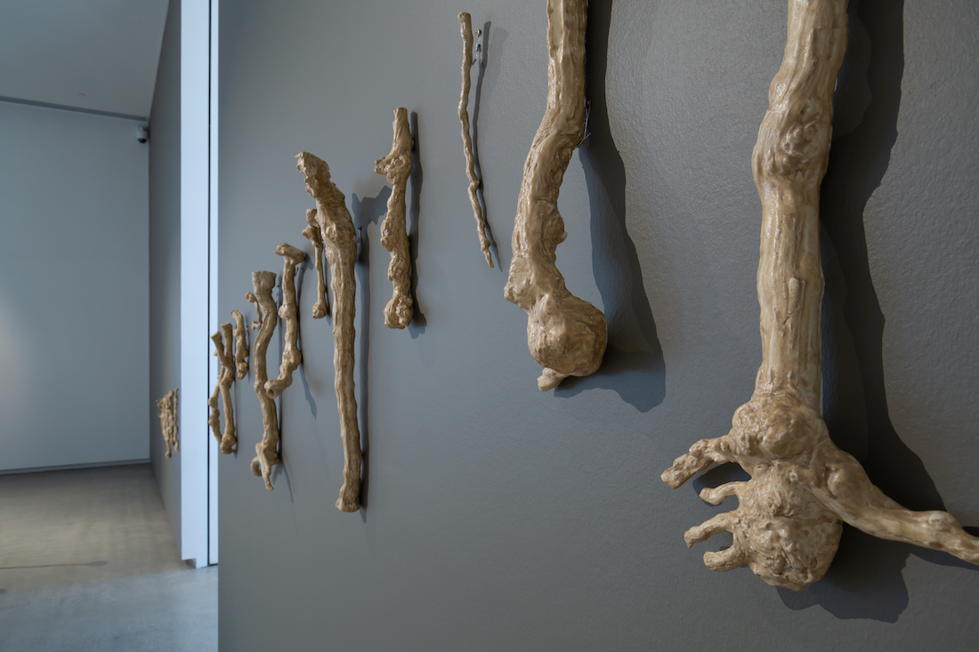 installation view: Yasmin Smith, Terroir, 2020, in TarraWarra Biennale 2021: Slow Moving Waters, TarraWarra Museum of Art, Tarrawarra