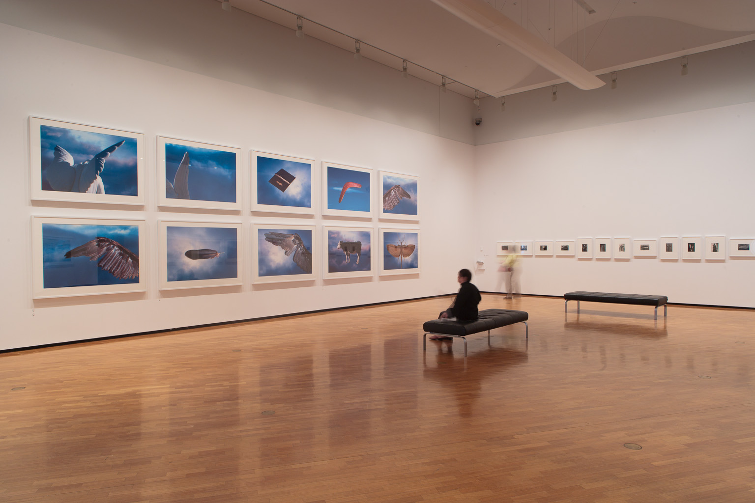 MICHAEL RILEY: sights unseen