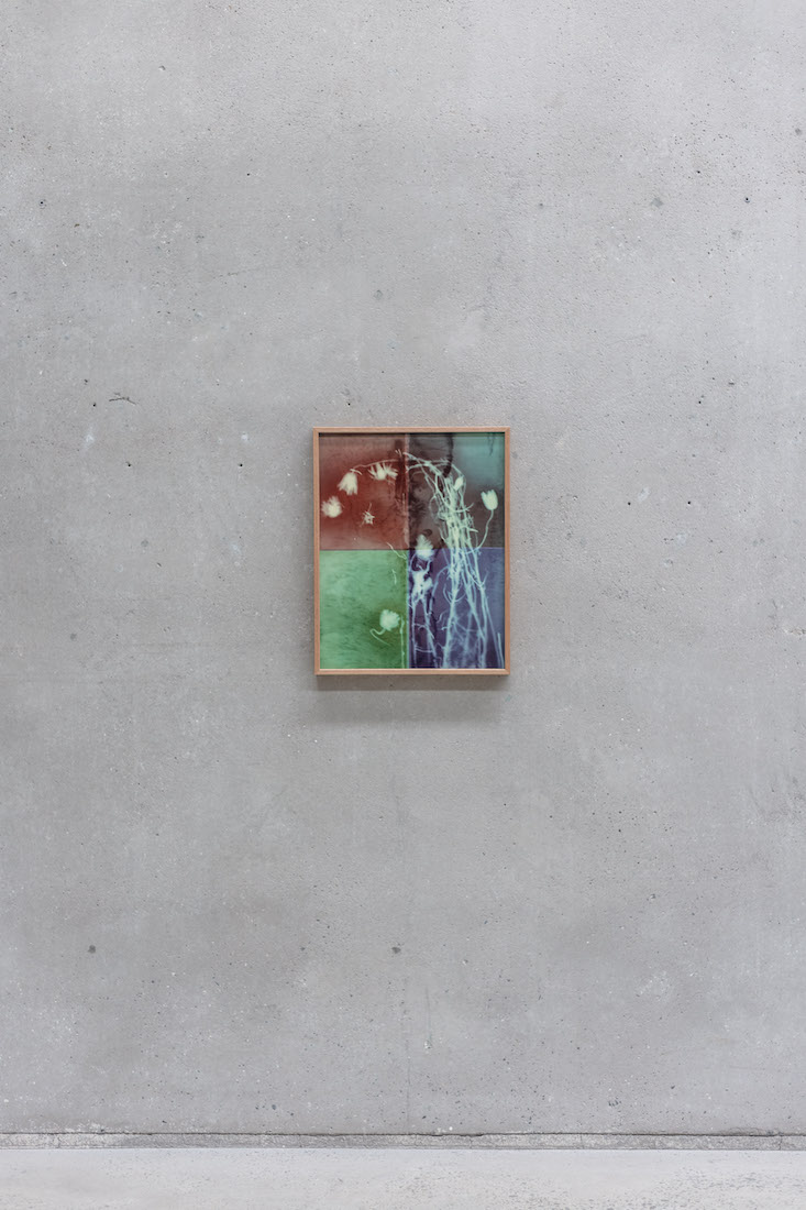 installation view: Amanda Williams — On the Action of the Rays of the Solar Spectrum, at The Commercial, Sydney, 2023