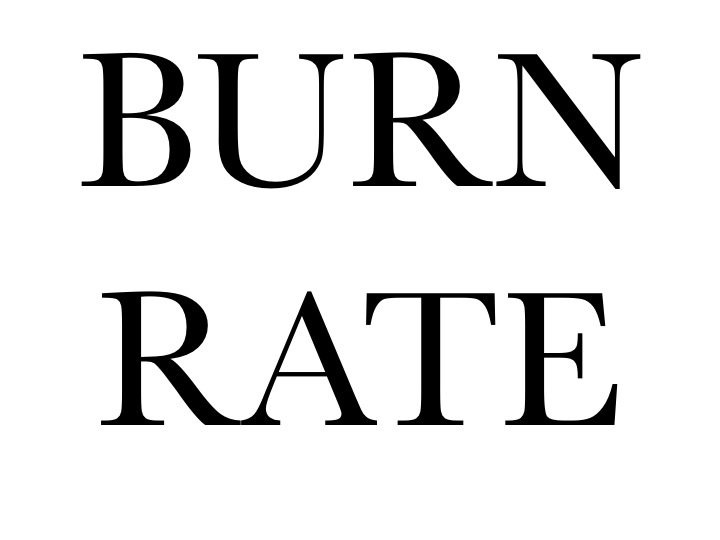 Agatha Gothe-Snape, 36. BURN RATE, 2014 AGS, 2014