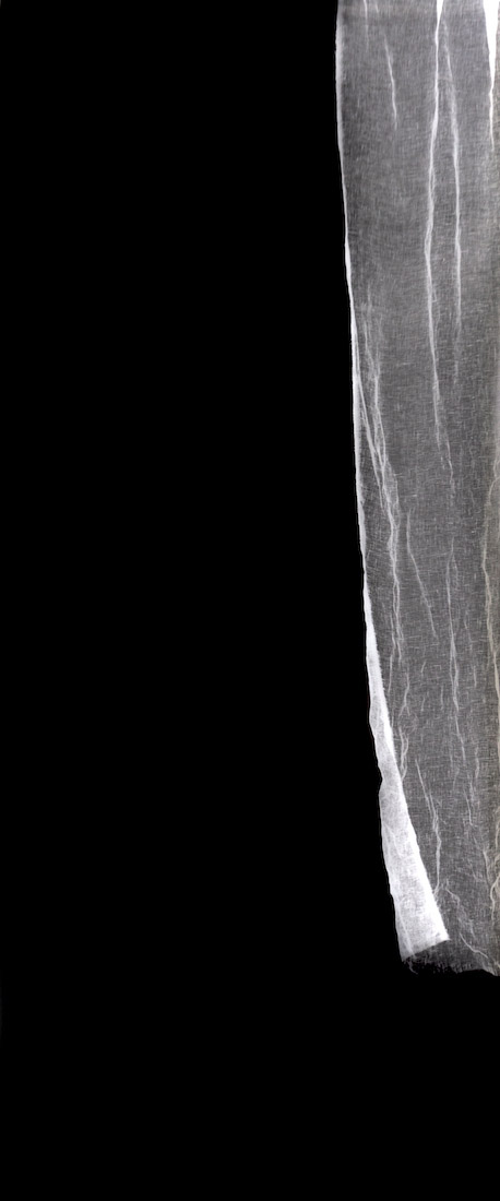 Amanda Williams, Untitled Photogram (linen) IV, 2023