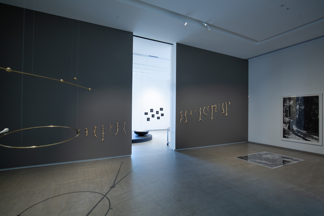 installation view: Yasmin Smith, Terroir, 2020, in TarraWarra Biennale 2021: Slow Moving Waters, TarraWarra Museum of Art, Tarrawarra