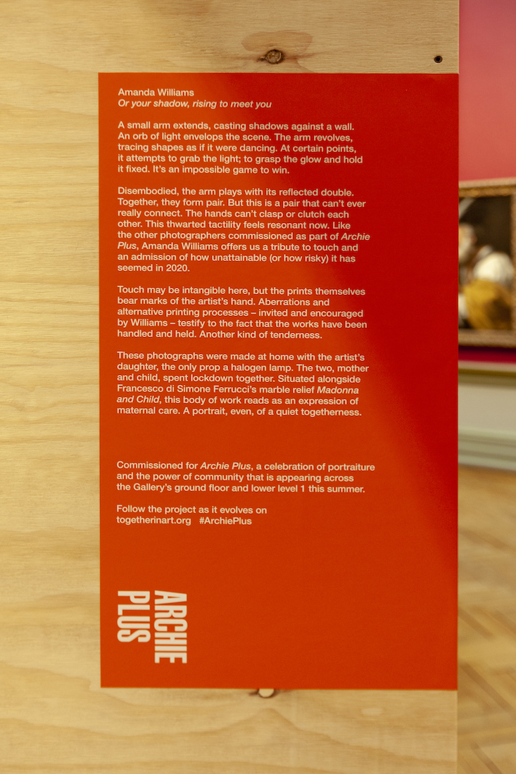 installation view: Amanda Williams, Or your shadow, rising to meet you, 2020, in Archie Plus, Art Gallery of New South Wales, Sydney