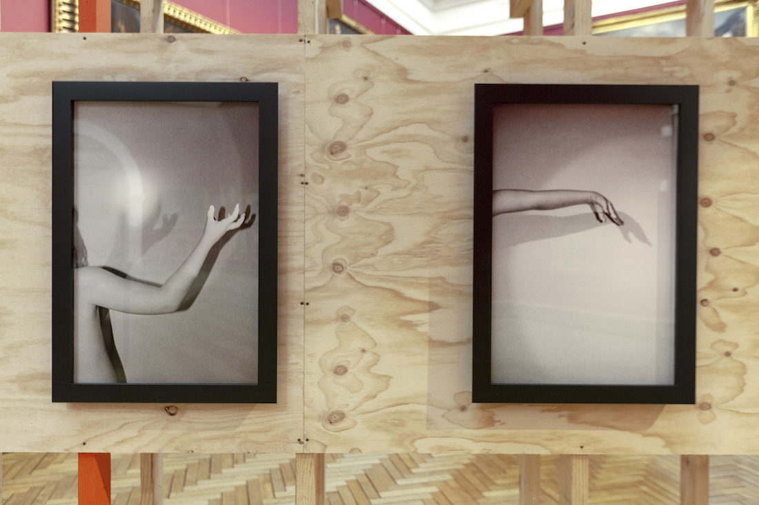 installation view: Amanda Williams, Or your shadow, rising to meet you, 2020, in Archie Plus, Art Gallery of New South Wales, Sydney