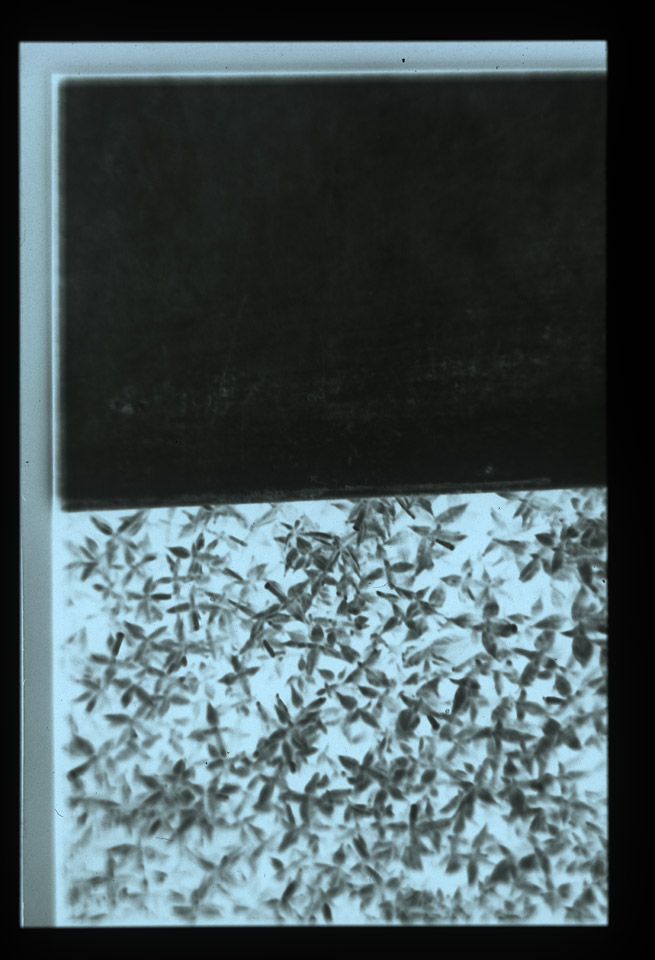 Gunter Christmann, 50/50 - 10/80, 1974