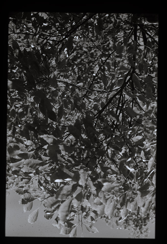 Gunter Christmann, SYDNEY - 26/80, 1974