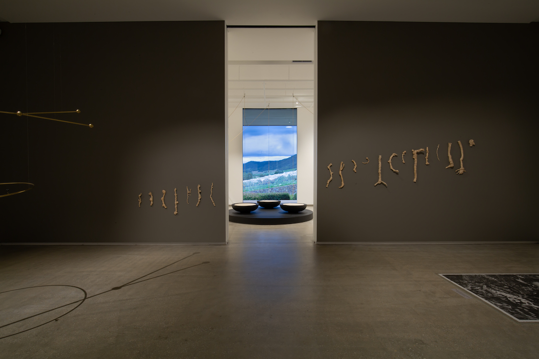 TarraWarra Biennial 2021: Slow Moving Waters