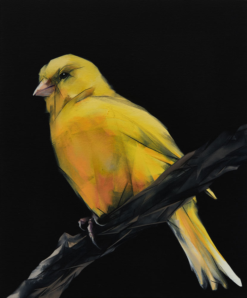 Nigel Milsom, Judo-House part 9 (birdland), 2020