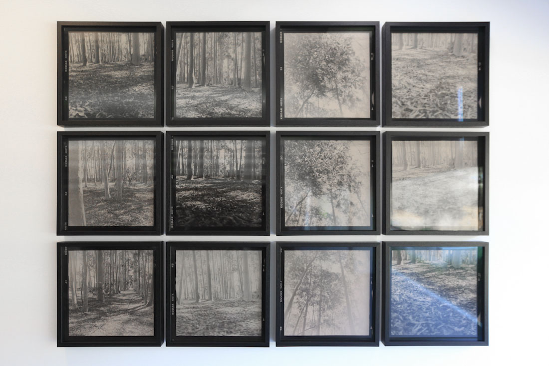 Amanda Williams, A Walk (Exposure 1-12), 2023